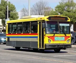 ônibus gratuitos