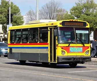 ônibus gratuitos